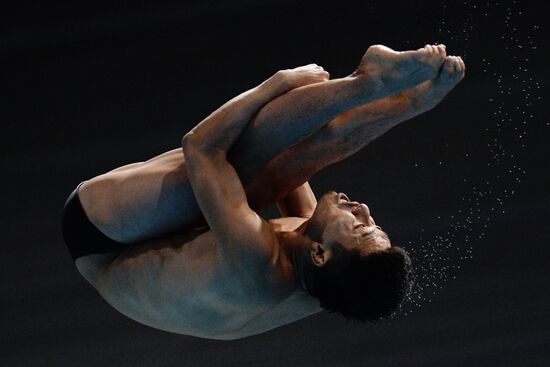 Чемпионат мира FINA 2015. Прыжки в воду. Мужчины. Трамплин 3 м. Финал