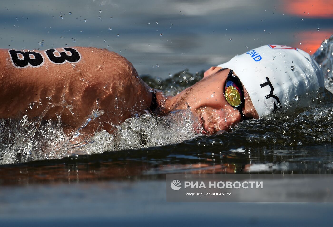 Чемпионат мира FINA 2015. Плавание на открытой воде. Мужчины. 25 км