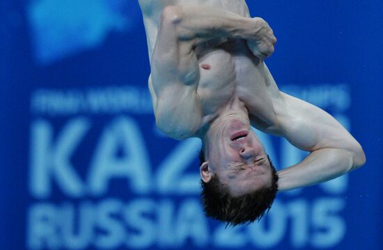 Чемпионат мира FINA 2015. Прыжки в воду. Мужчины. Вышка 10 м. Предварительный раунд