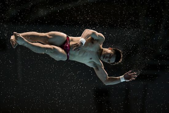 Чемпионат мира FINA 2015. Прыжки в воду. Мужчины. Вышка 10 м. Полуфинал