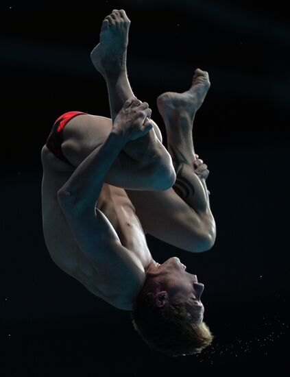 Чемпионат мира FINA 2015. Прыжки в воду. Мужчины. Вышка 10 м. Финал