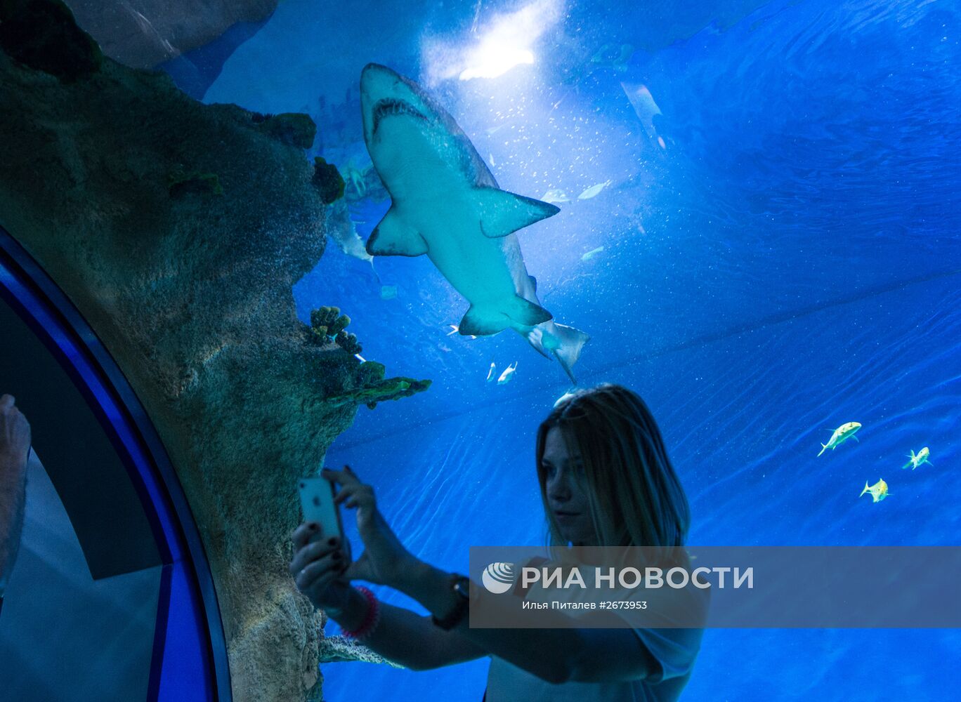 Центр океанографии и морской биологии "Москвариум" открылся на ВДНХ