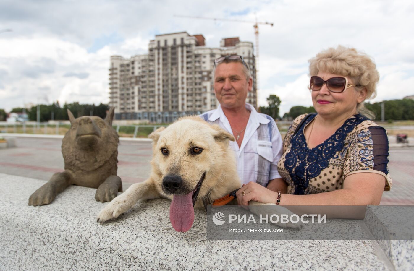 Памятник собаке по кличке Дружок в Благовещенске