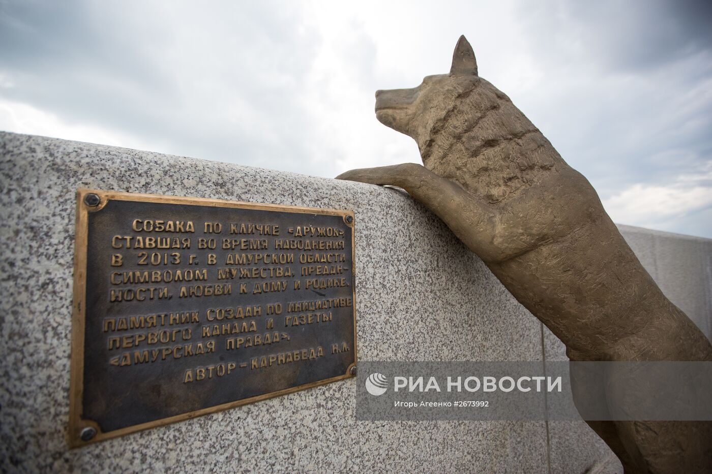 Памятник собаке по кличке Дружок в Благовещенске