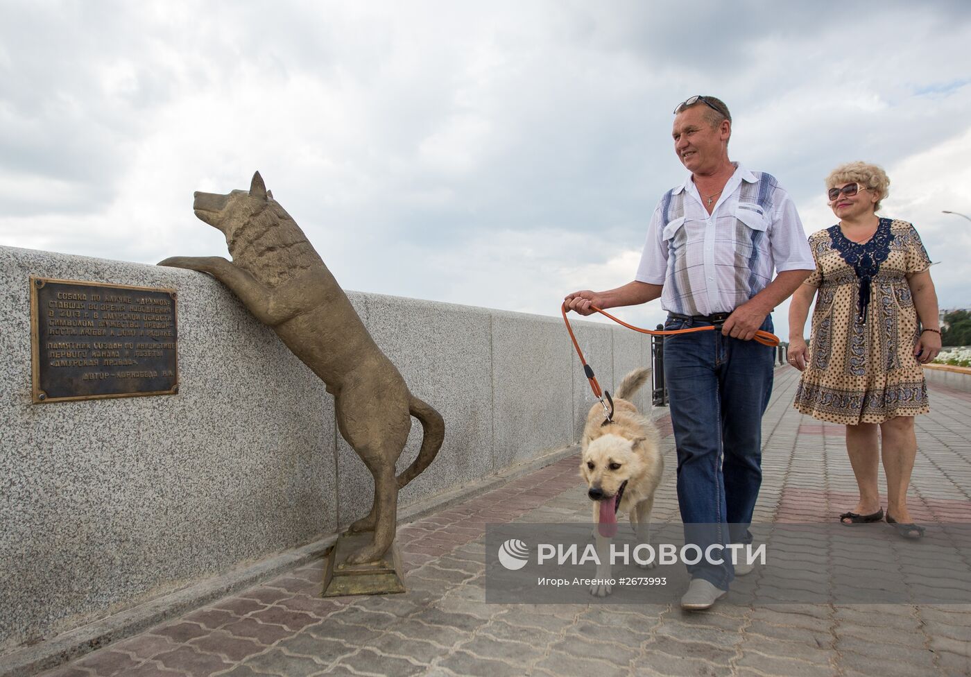 Памятник собаке по кличке Дружок в Благовещенске