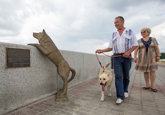 Памятник собаке по кличке Дружок в Благовещенске