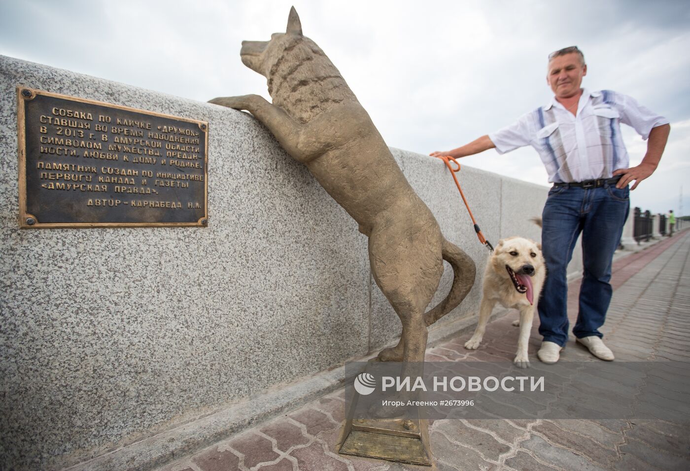 Памятник собаке по кличке Дружок в Благовещенске | РИА Новости Медиабанк