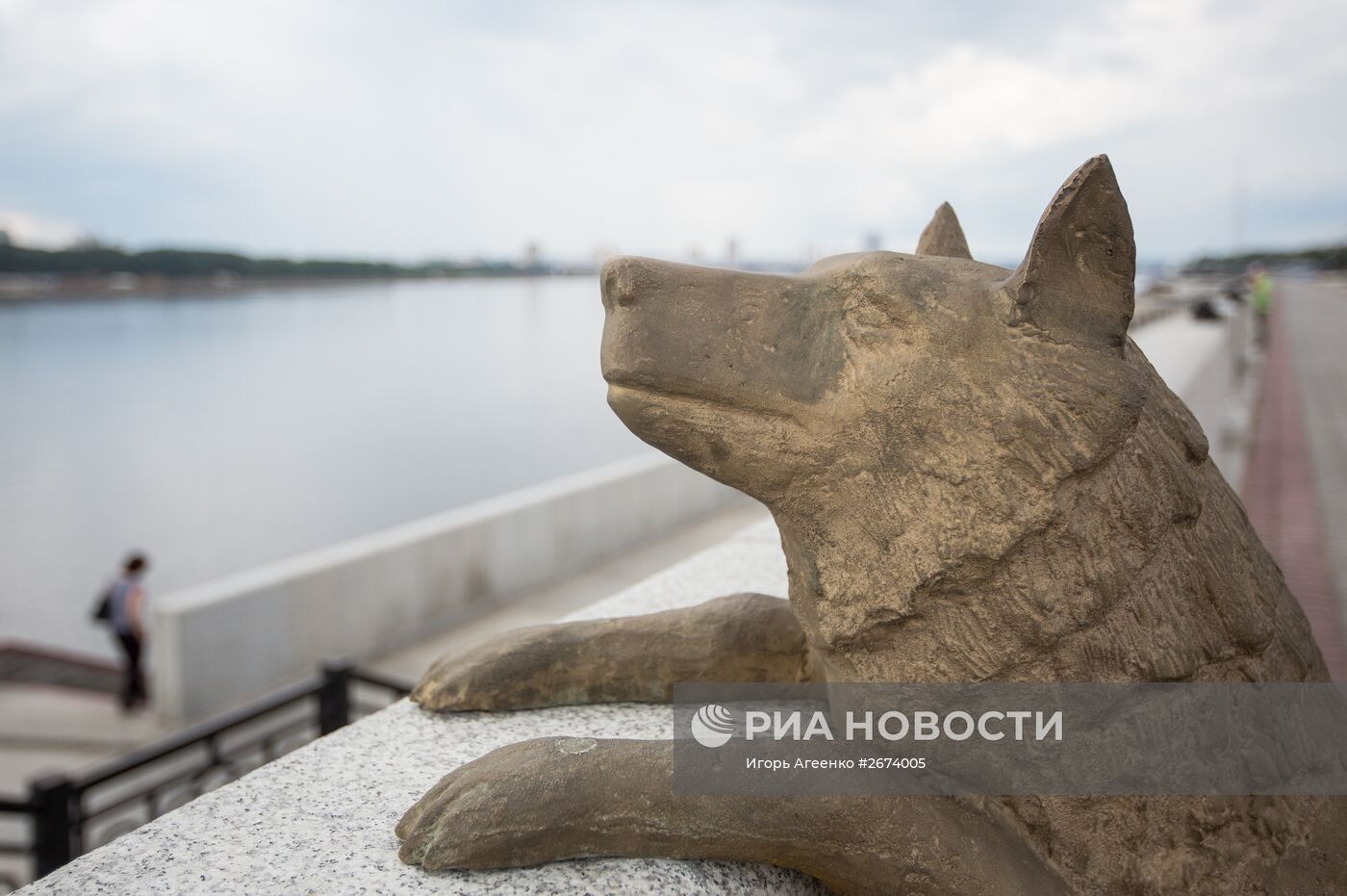 Памятник собаке по кличке Дружок в Благовещенске