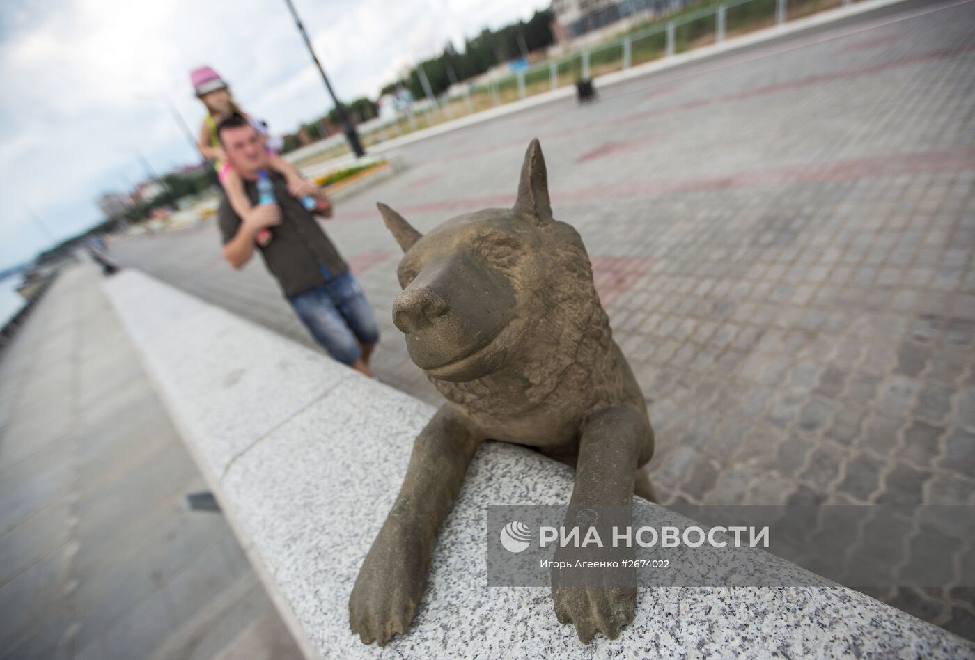 Памятник собаке по кличке Дружок в Благовещенске