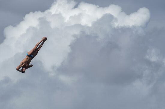 Чемпионат мира FINA 2015. Хайдайвинг. Мужчины. Вышка 27 м. Финал