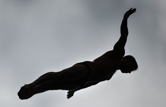 Чемпионат мира FINA 2015. Хайдайвинг. Мужчины. Вышка 27 м. Финал