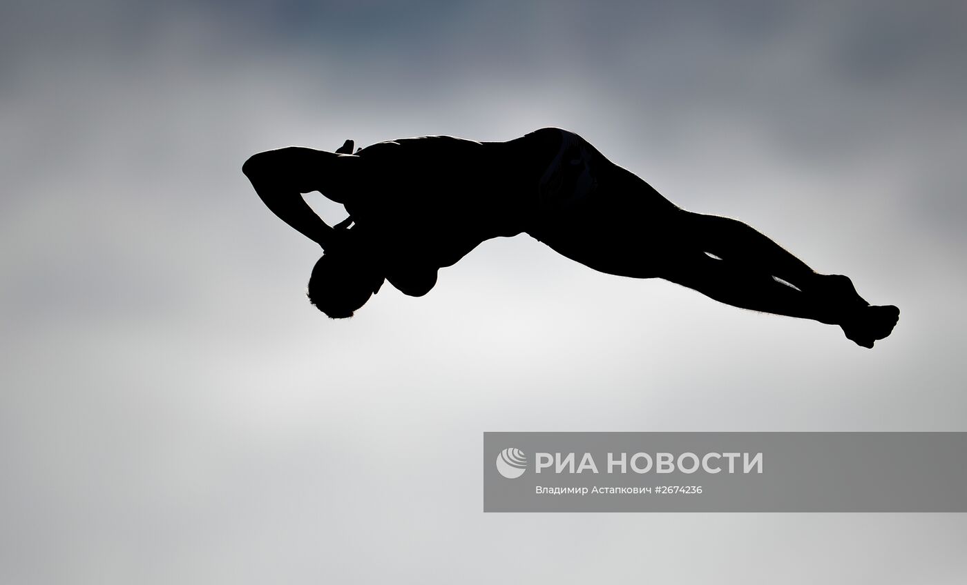 Чемпионат мира FINA 2015. Хайдайвинг. Мужчины. Вышка 27 м. Финал
