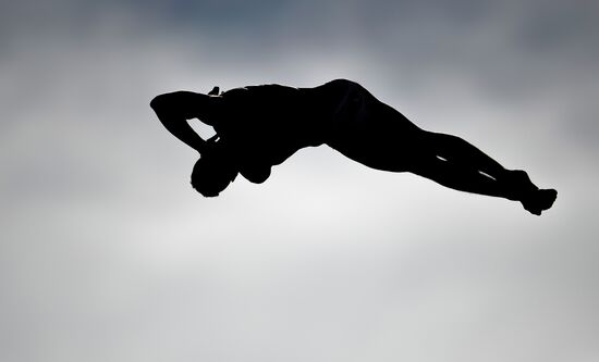 Чемпионат мира FINA 2015. Хайдайвинг. Мужчины. Вышка 27 м. Финал