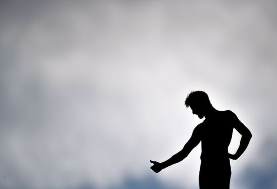 Чемпионат мира FINA 2015. Хайдайвинг. Мужчины. Вышка 27 м. Финал