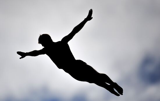 Чемпионат мира FINA 2015. Хайдайвинг. Мужчины. Вышка 27 м. Финал