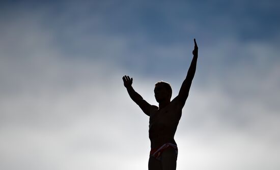 Чемпионат мира FINA 2015. Хайдайвинг. Мужчины. Вышка 27 м. Финал