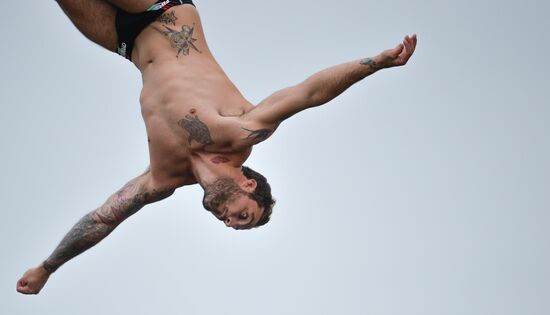 Чемпионат мира FINA 2015. Хайдайвинг. Мужчины. Вышка 27 м. Финал