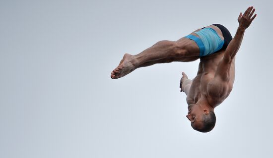 Чемпионат мира FINA 2015. Хайдайвинг. Мужчины. Вышка 27 м. Финал