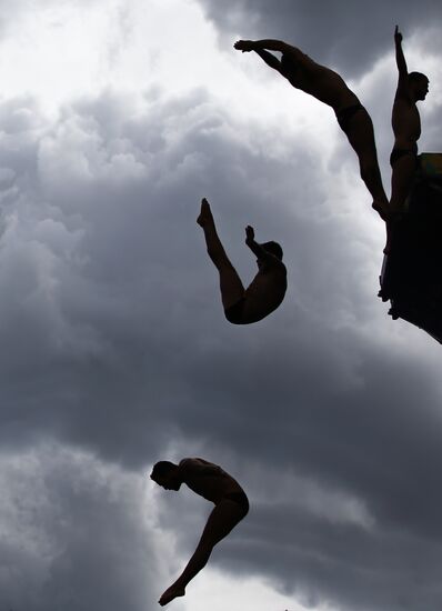 Чемпионат мира FINA 2015. Хайдайвинг. Мужчины. Вышка 27 м. Финал