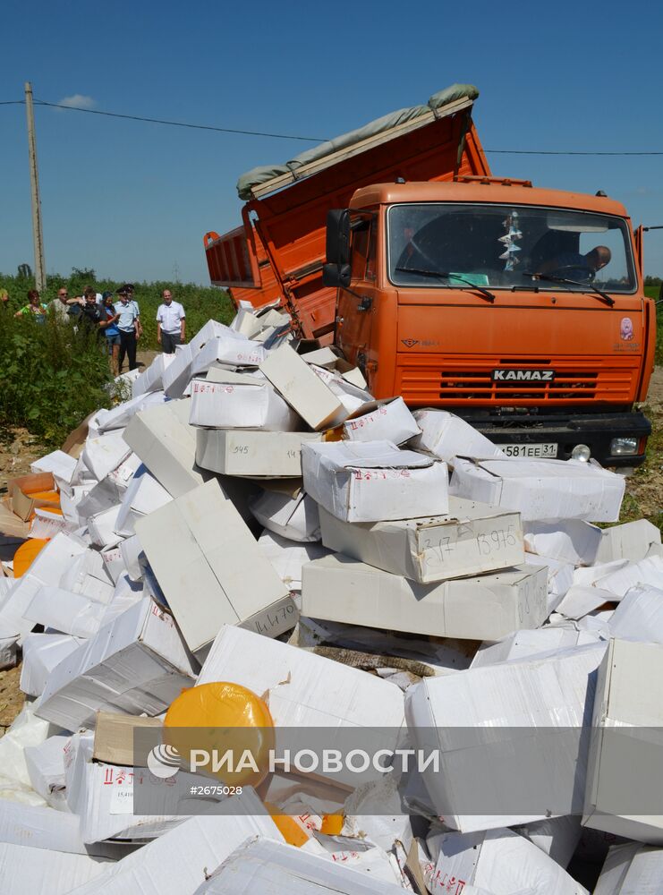 Уничтожение санкционной продукции в России