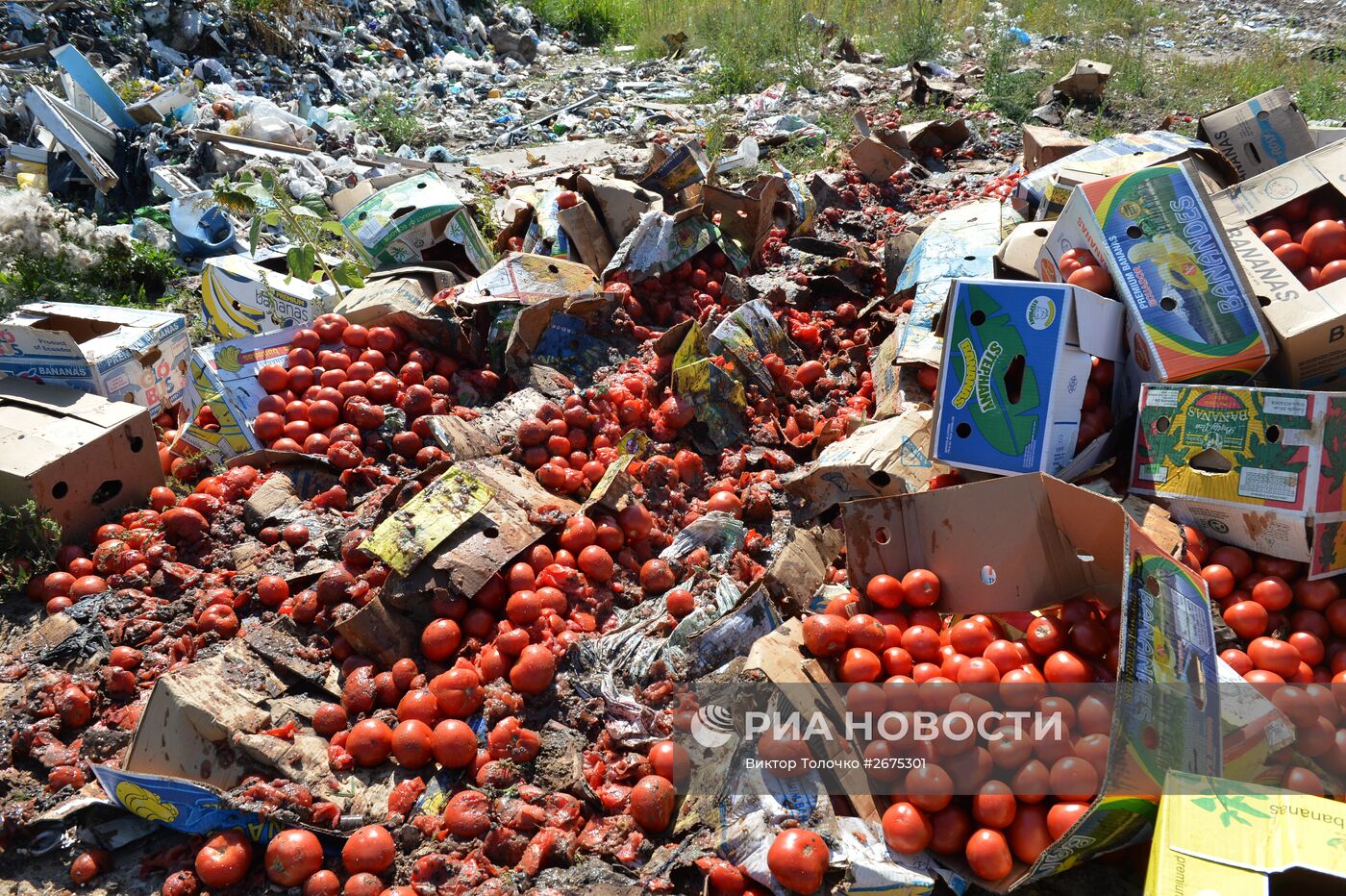 Уничтожение санкционной продукции