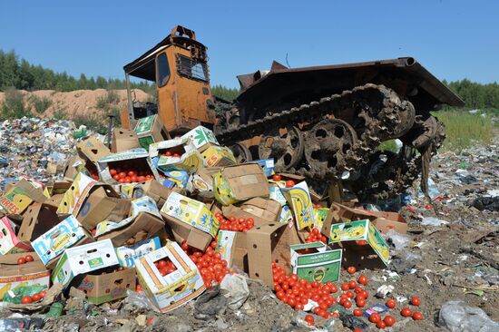 Уничтожение санкционной продукции