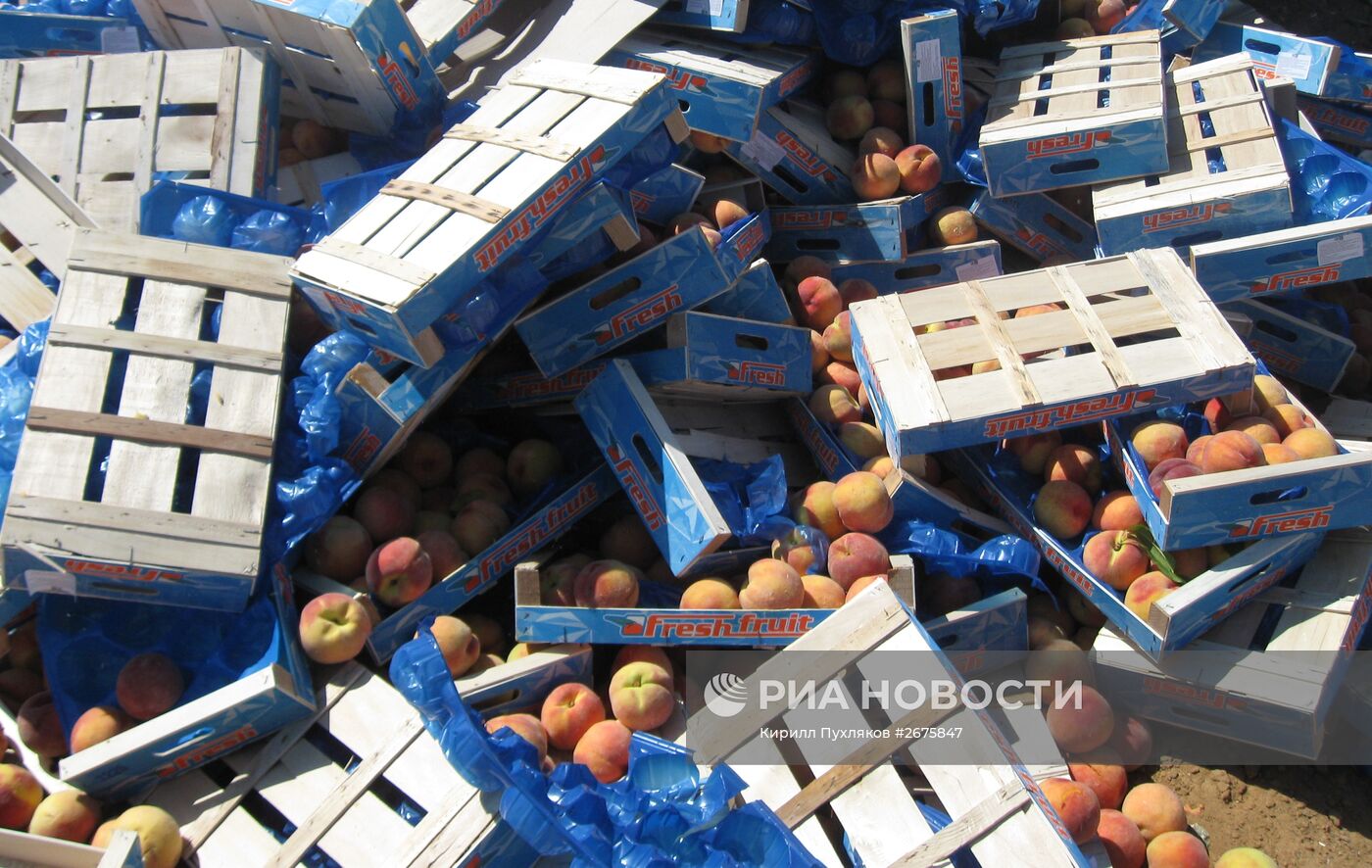 Уничтожение санкционной продукции в России
