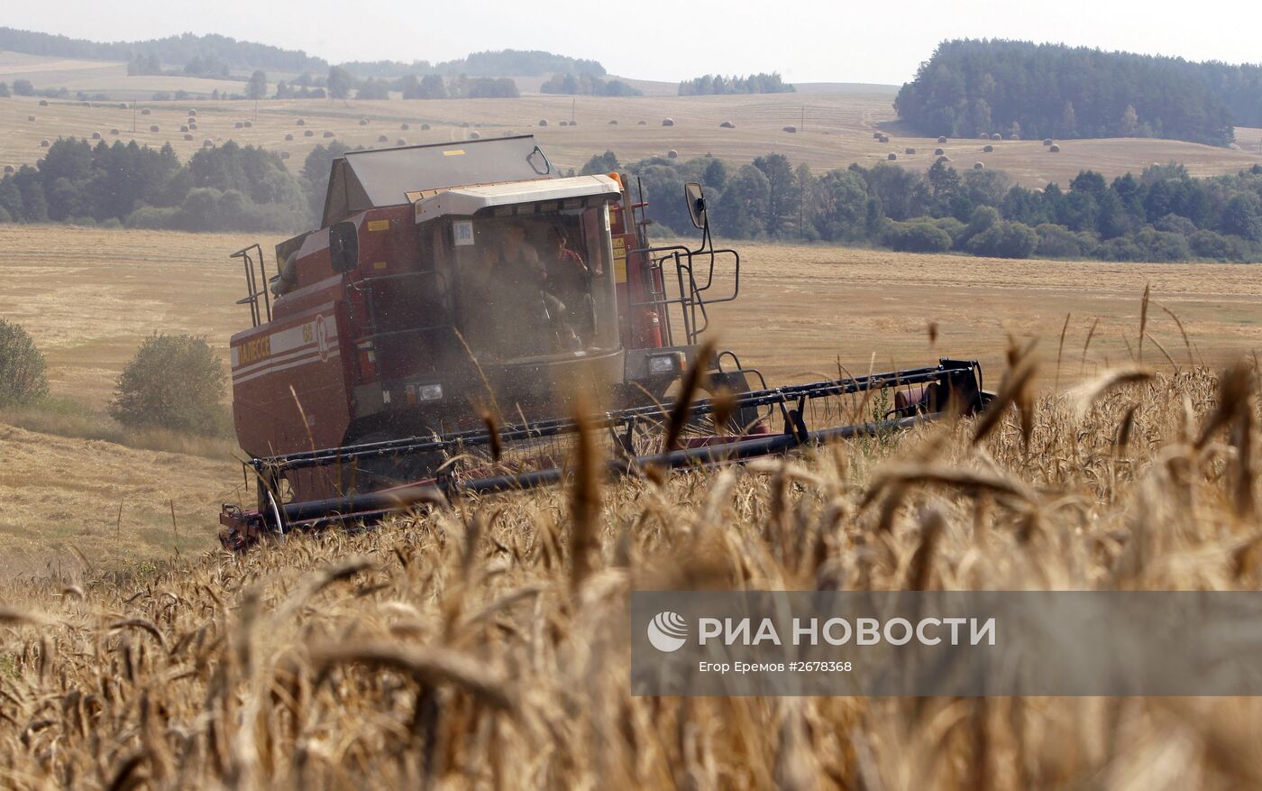 Уборка урожая зерновых в Белоруссии