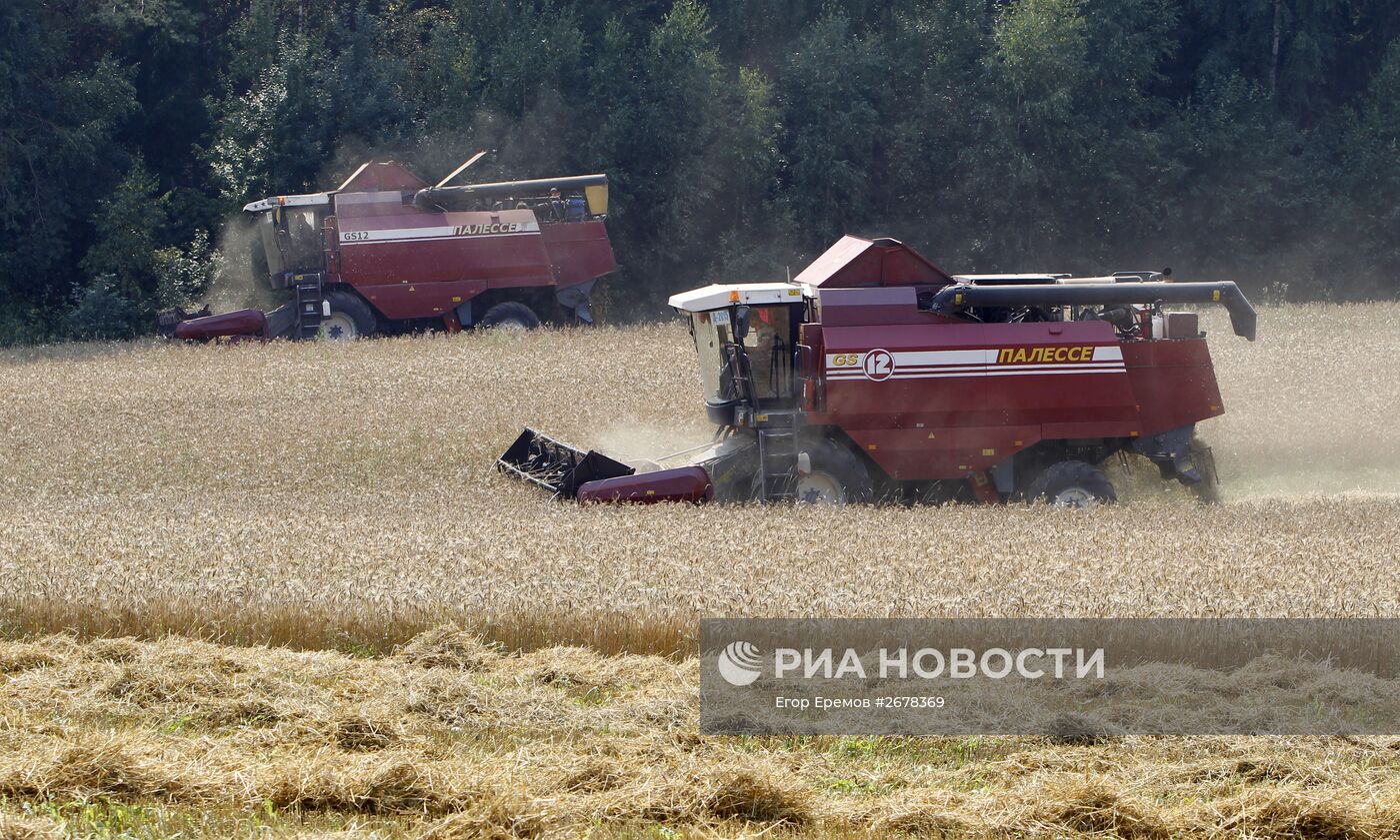 Уборка урожая зерновых в Белоруссии