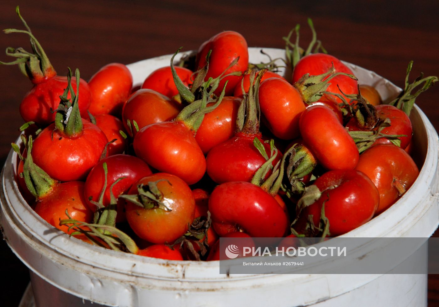 Общегородская ярмарка во Владивостоке