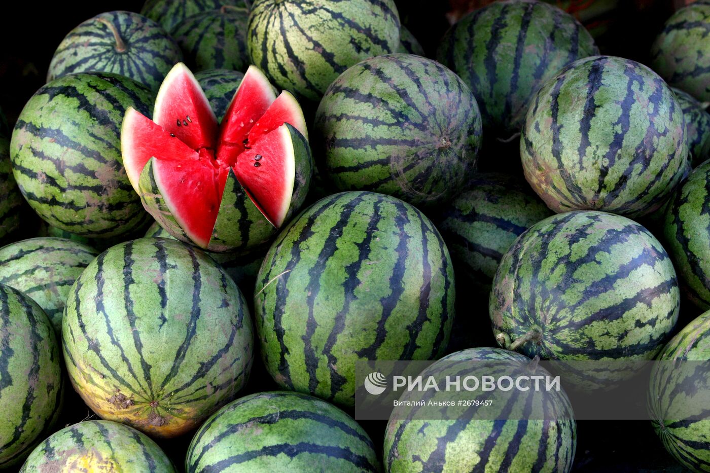 Общегородская ярмарка во Владивостоке