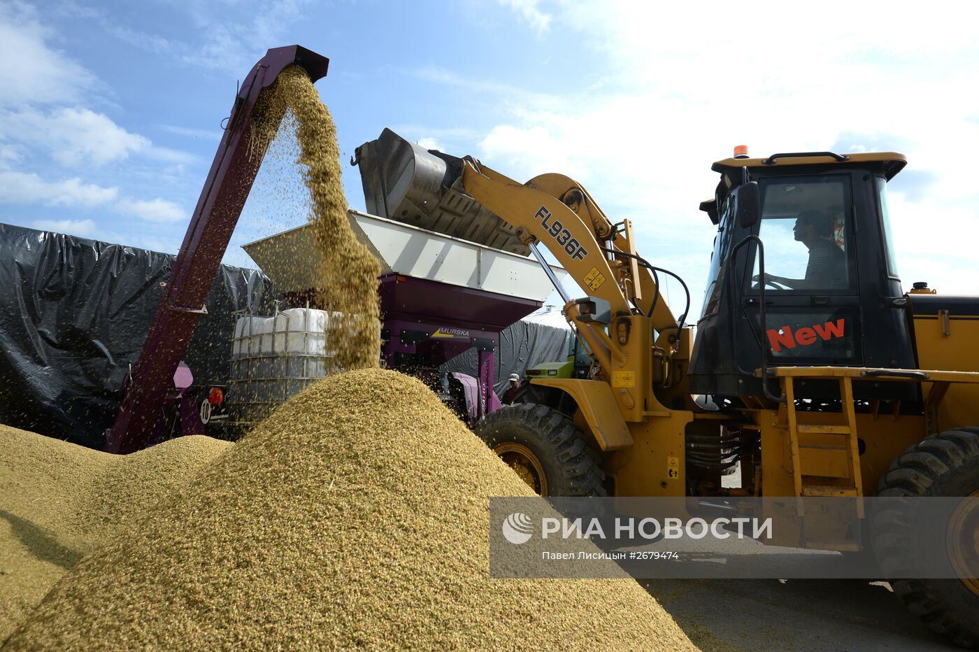 Сбор урожая в Свердловской области