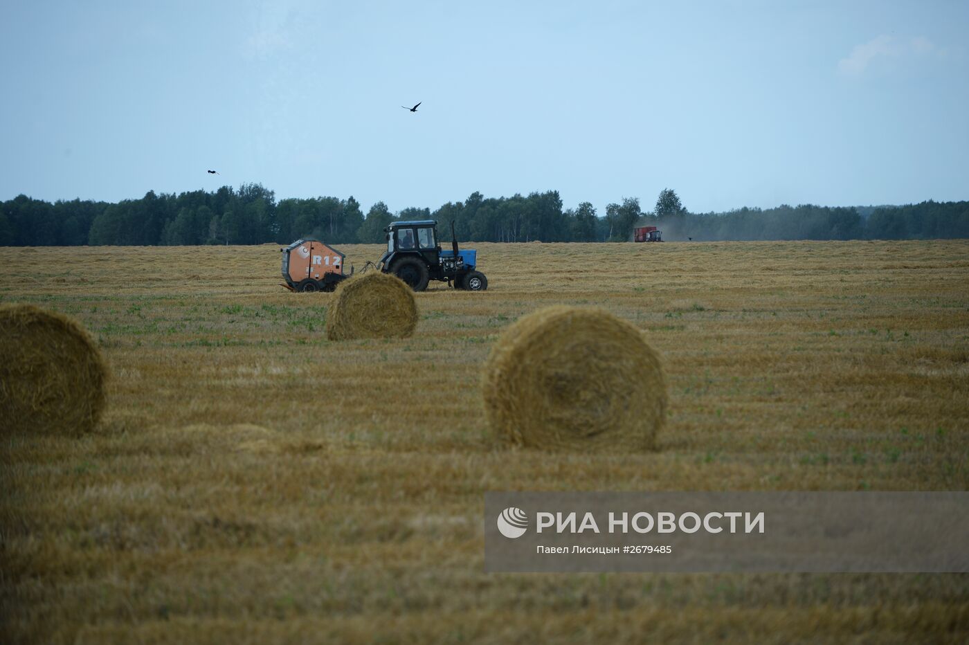 Сбор урожая в Свердловской области