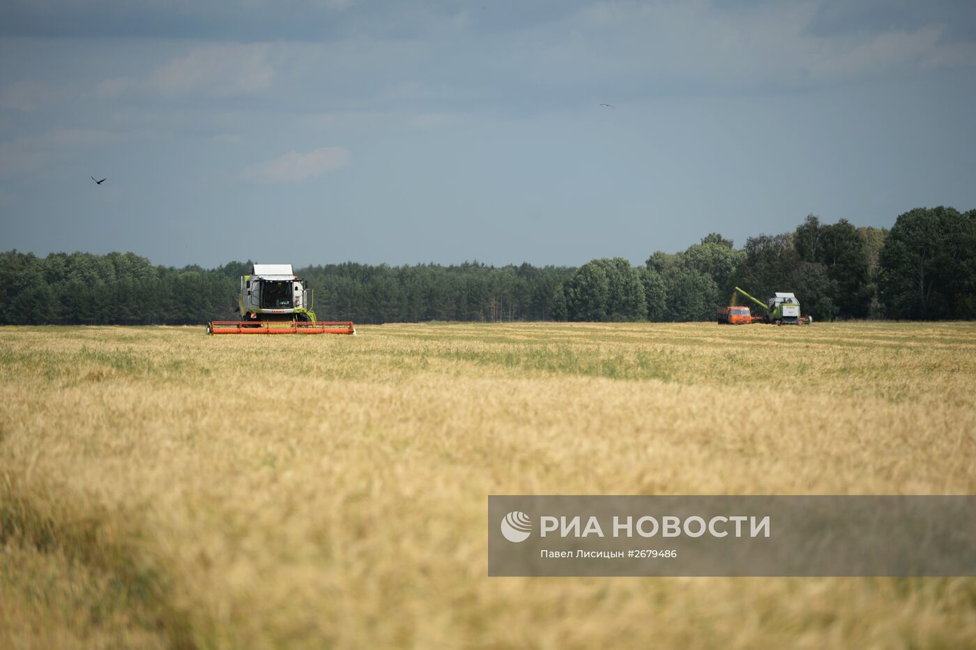 Сбор урожая в Свердловской области