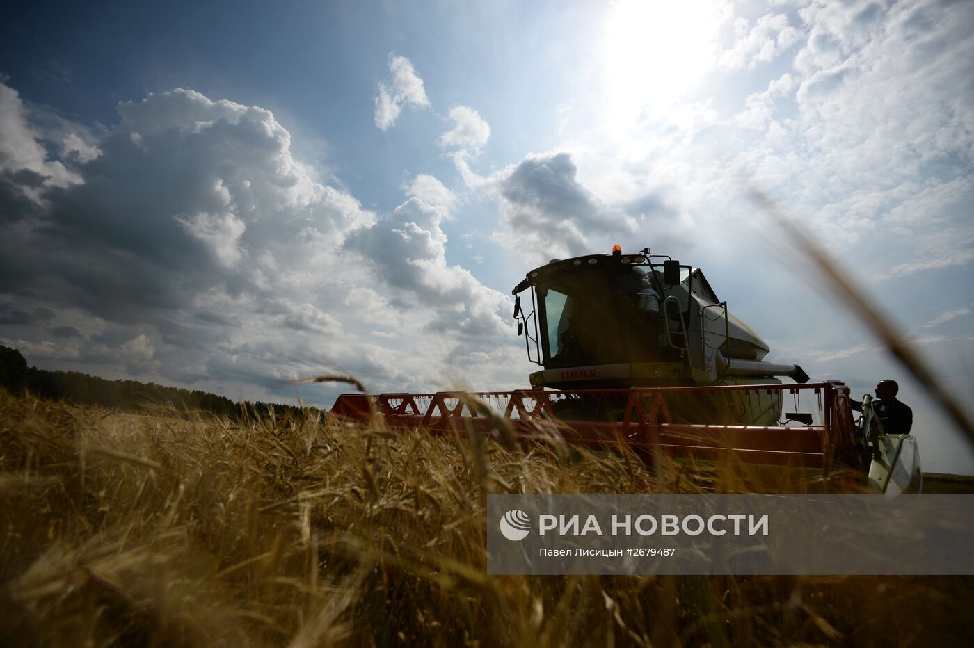 Сбор урожая в Свердловской области