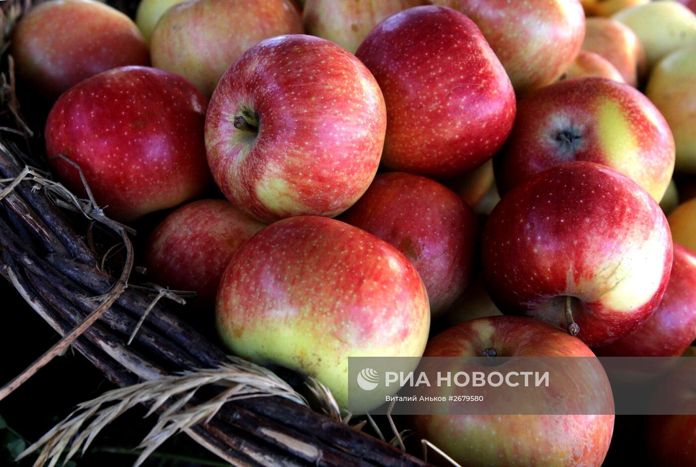 Общегородская ярмарка во Владивостоке