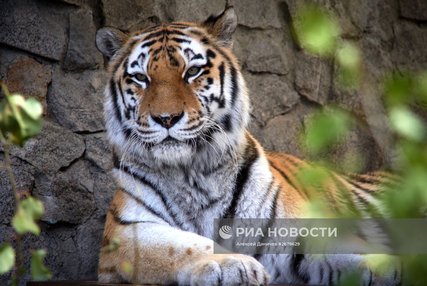 Ленинградский зоопарк отмечает 150-летие