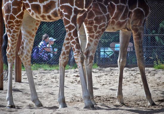 Ленинградский зоопарк отмечает 150-летие