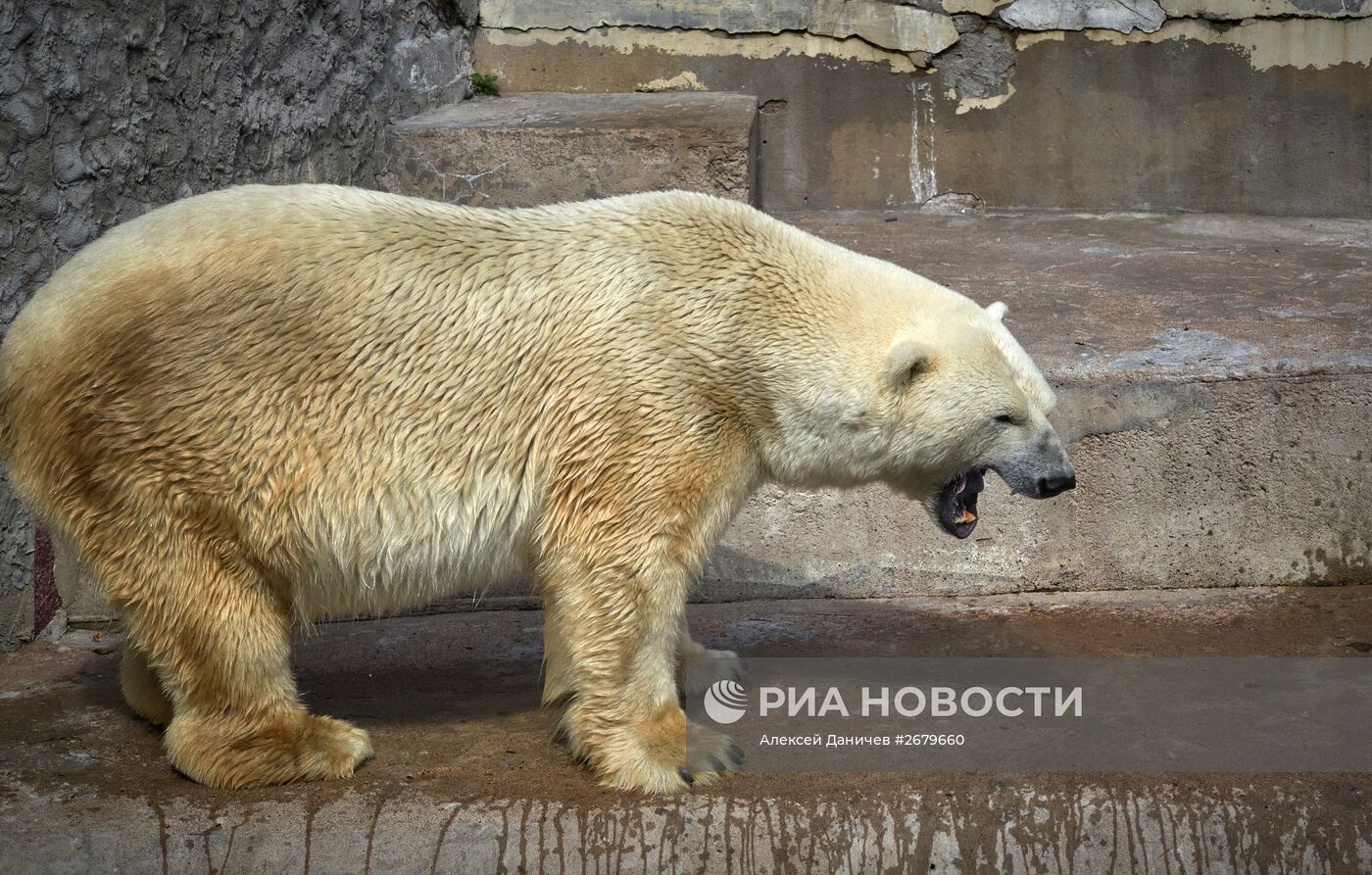 Ленинградский зоопарк отмечает 150-летие