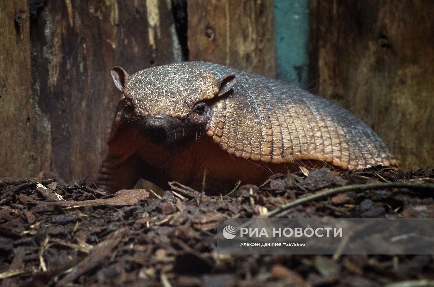 Ленинградский зоопарк отмечает 150-летие