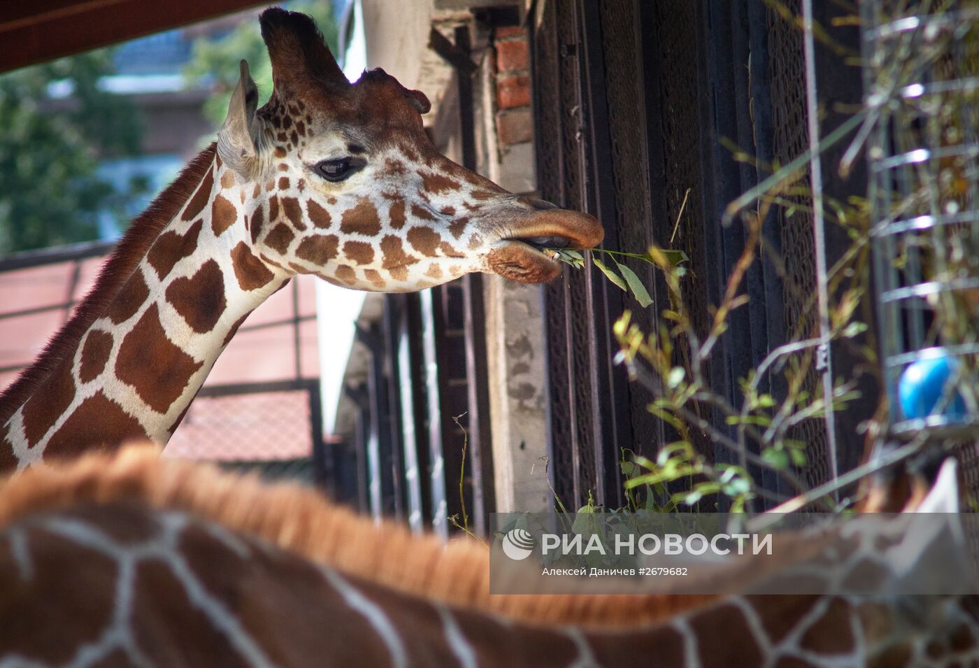 Ленинградский зоопарк отмечает 150-летие