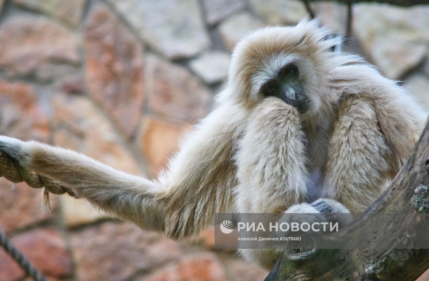 Ленинградский зоопарк отмечает 150-летие