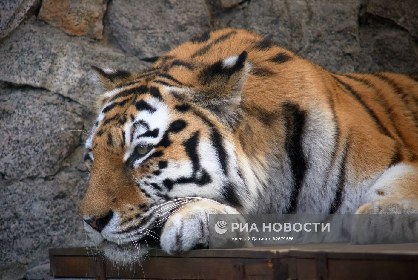 Ленинградский зоопарк отмечает 150-летие