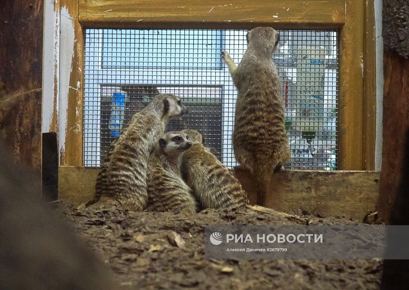 Ленинградский зоопарк отмечает 150-летие