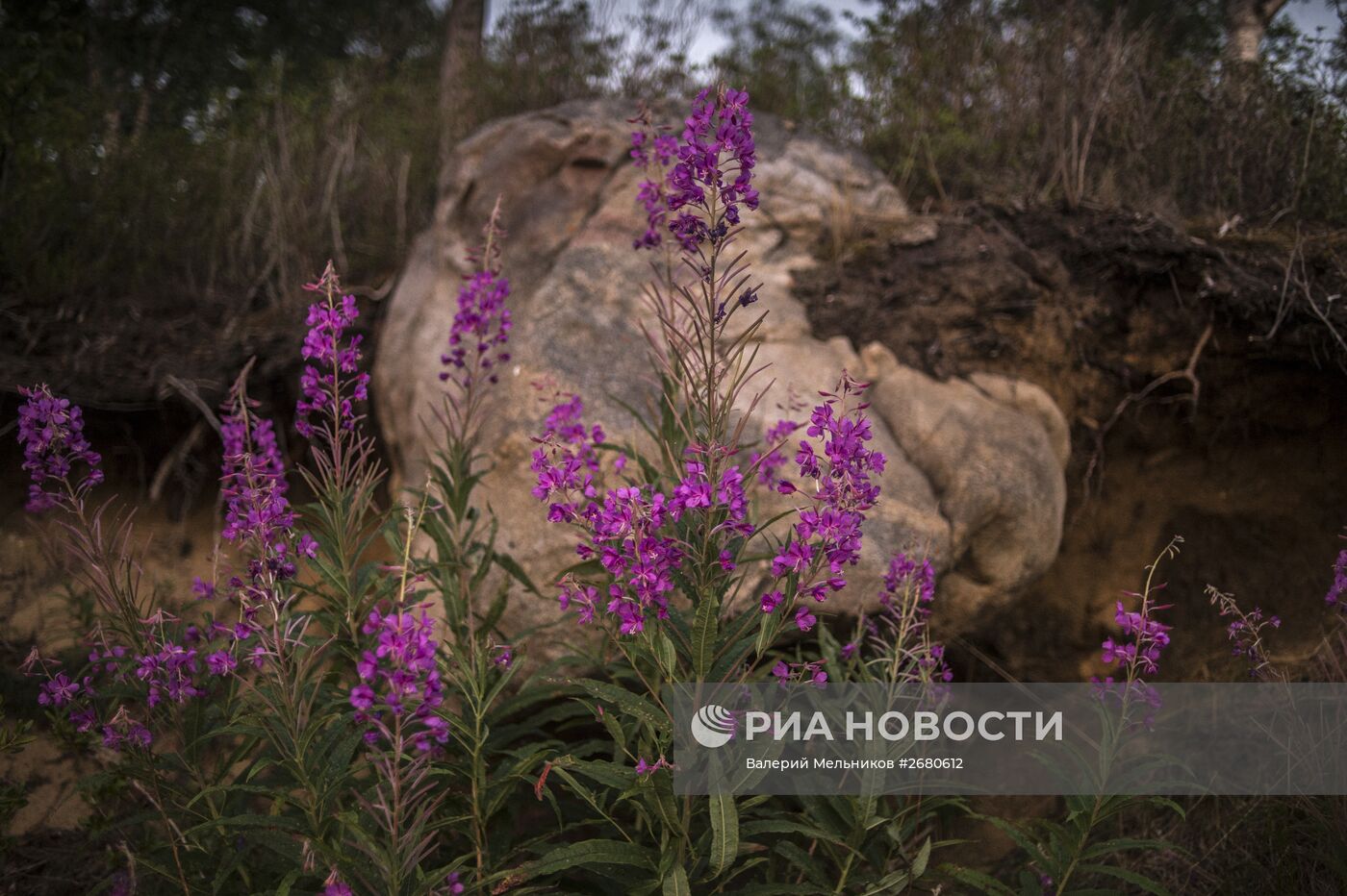 Виды озера Байкал