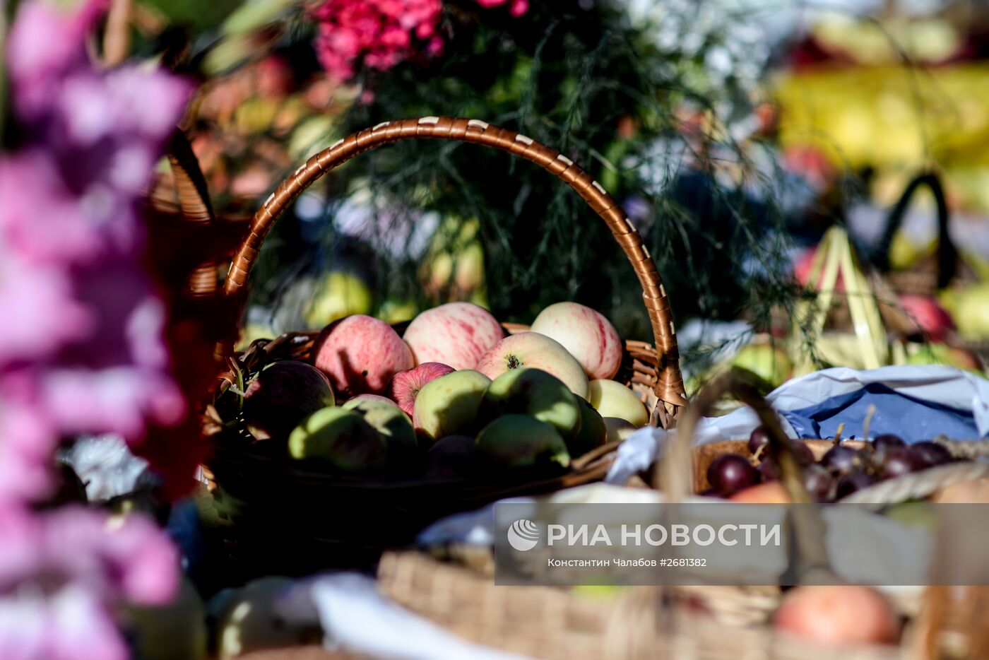 Празднование Яблочного спаса в городах России