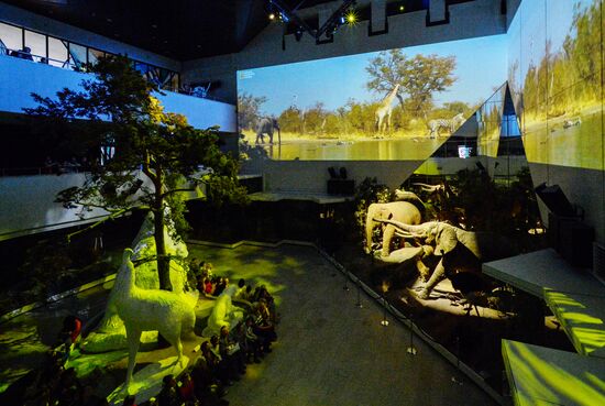 Экспозиция "Живая планета" в Дарвиновском музее