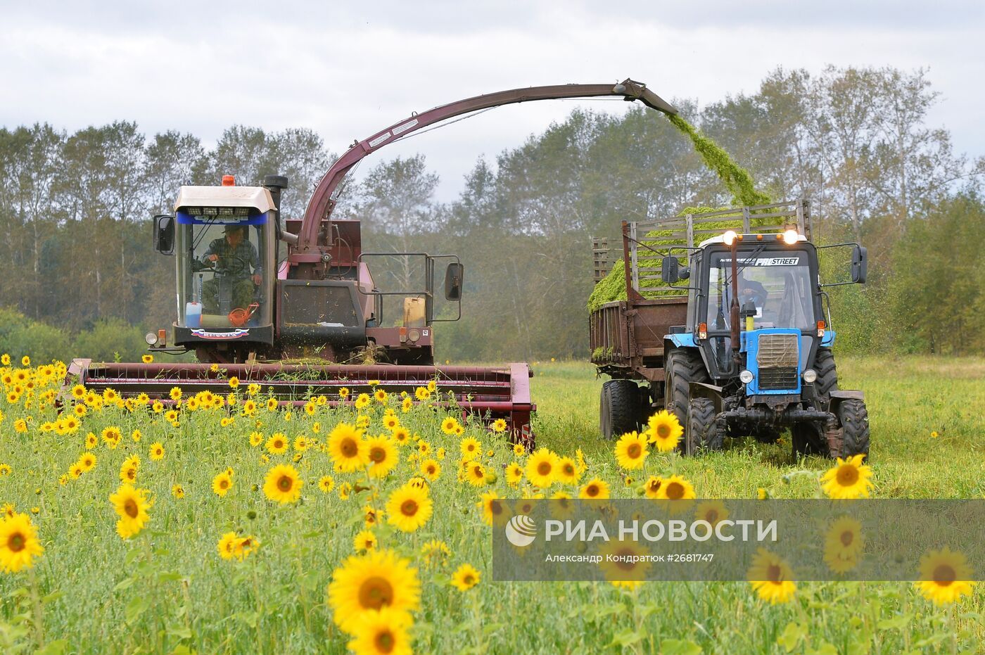 Заготовка кормов в Челябинской области
