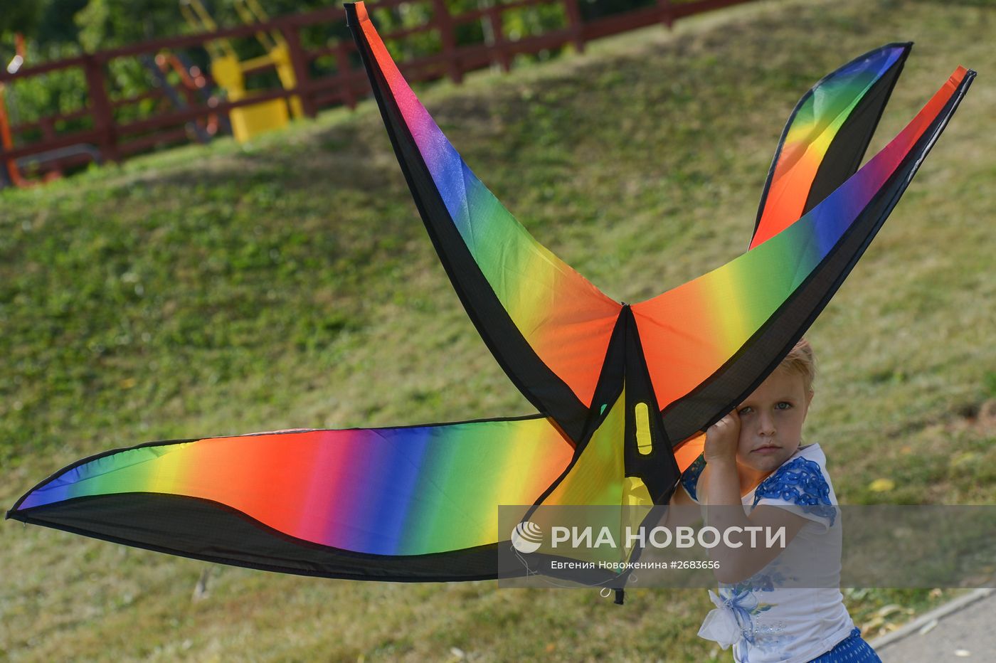 Летний фестиваль воздушных змеев