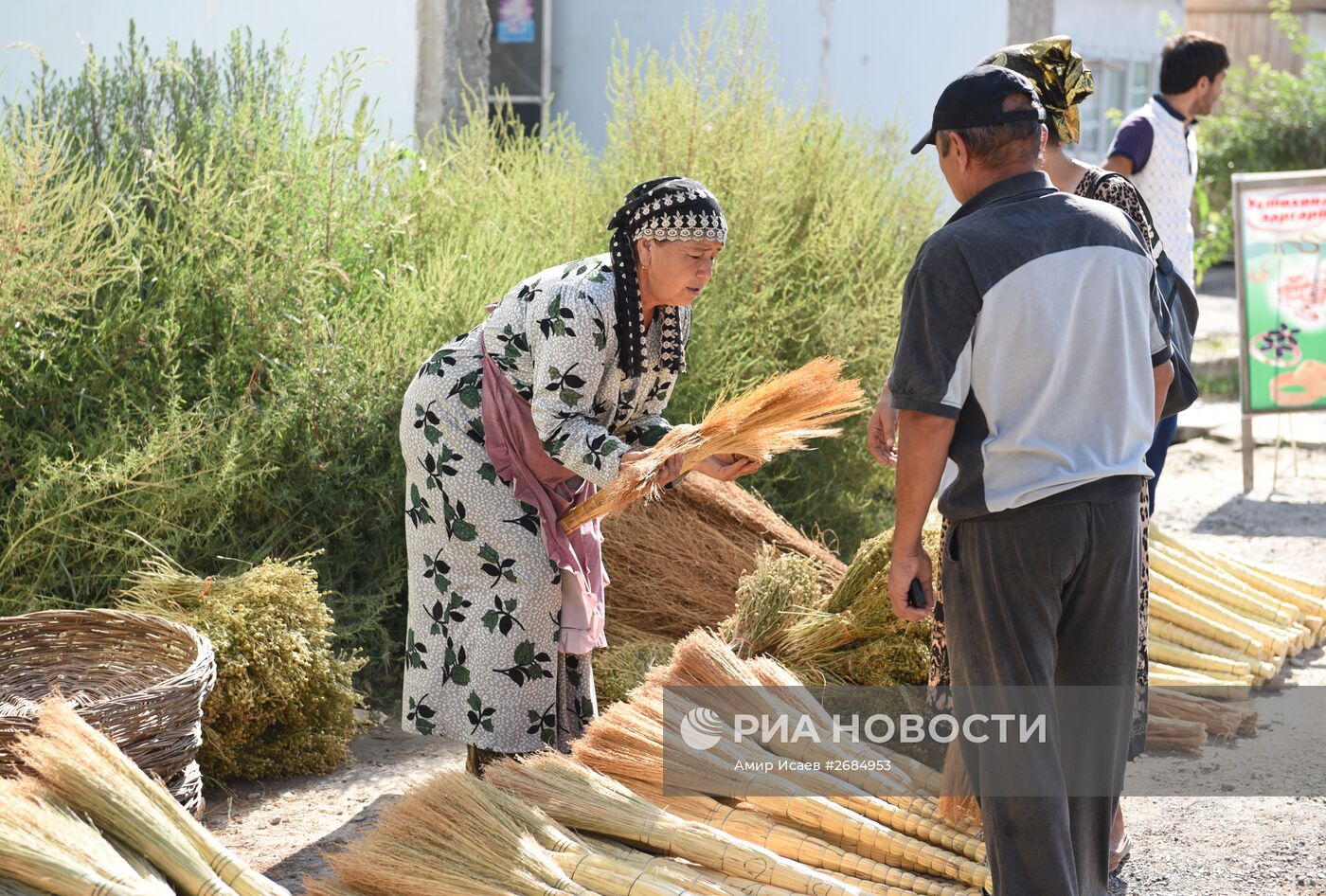 Страны мира. Таджикистан
